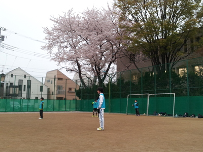 20130330_3.jpg