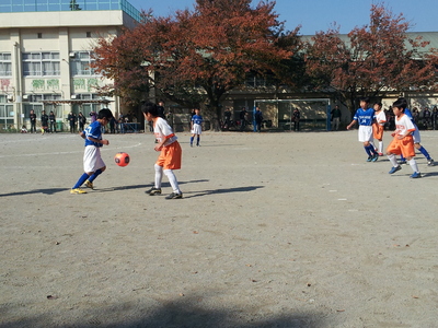 20131117_104350.jpg