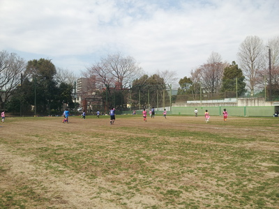 20140329_114459.jpg