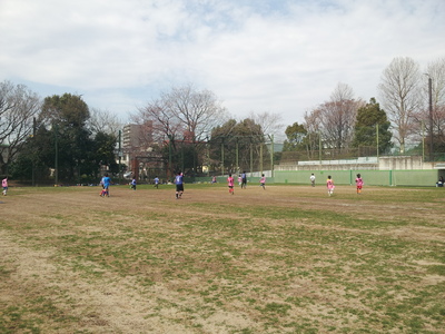 20140329_114459.jpg