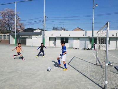 20180331_151333.jpg