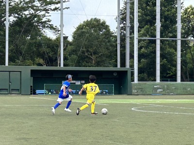 S__2515067.jpg