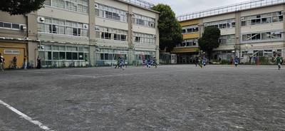 208883_0.jpg