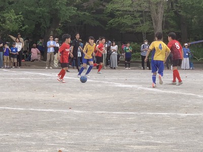 S__102572043_0.jpg