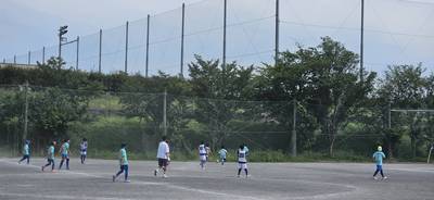 271831_0.jpg