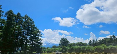 LINE_ALBUM_2025合宿_250728_15.jpg