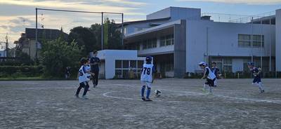 273312_0.jpg