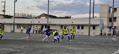 20250906_174447.jpg
