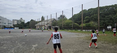 20251004_095133.jpg